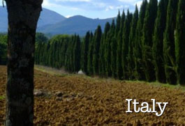 Italy