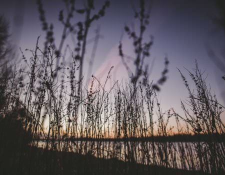 rutland-water-sunrise