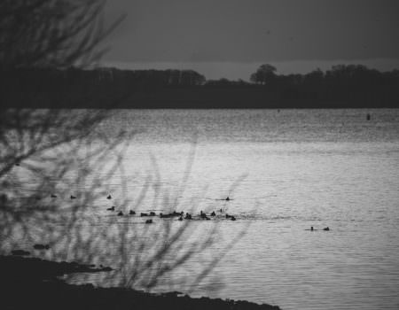 rutland-water-sunrise