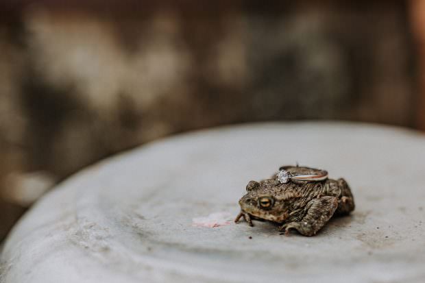 Frog or toad with bride's engagement ring on top