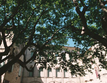 France on film