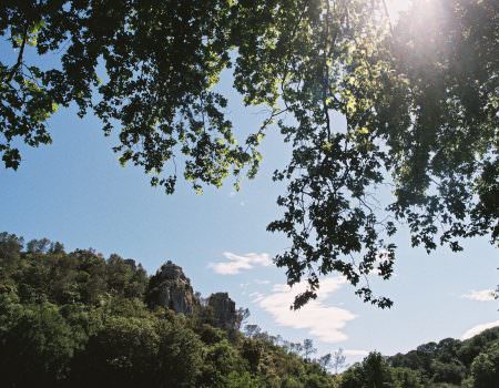 France on film