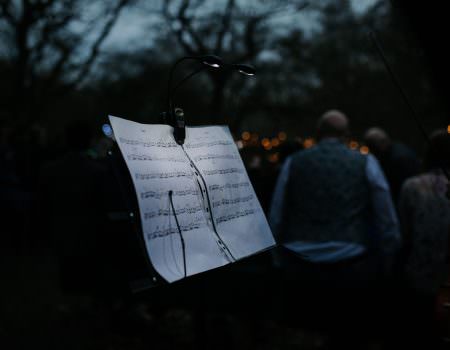 Dusk Sherwood Forest Wedding