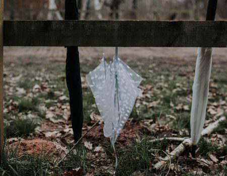 Outdoor Wedding in Sherwood Forest