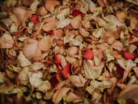 real flower confetti