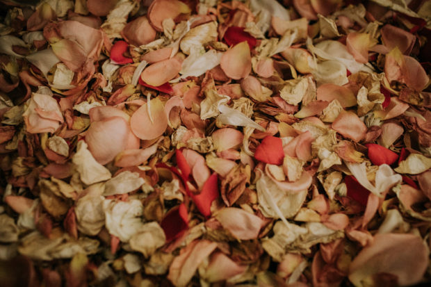 real flower confetti